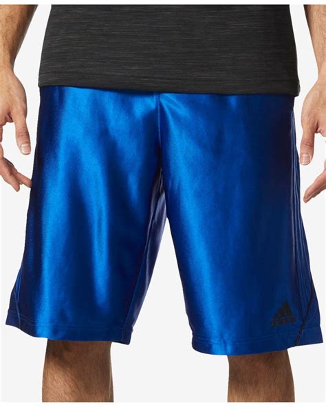 Amazon.com: Adidas Climalite Shorts Men